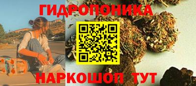 индика Партизанск